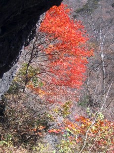 岩壁と紅葉