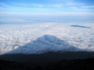 富士の姿が雲海に